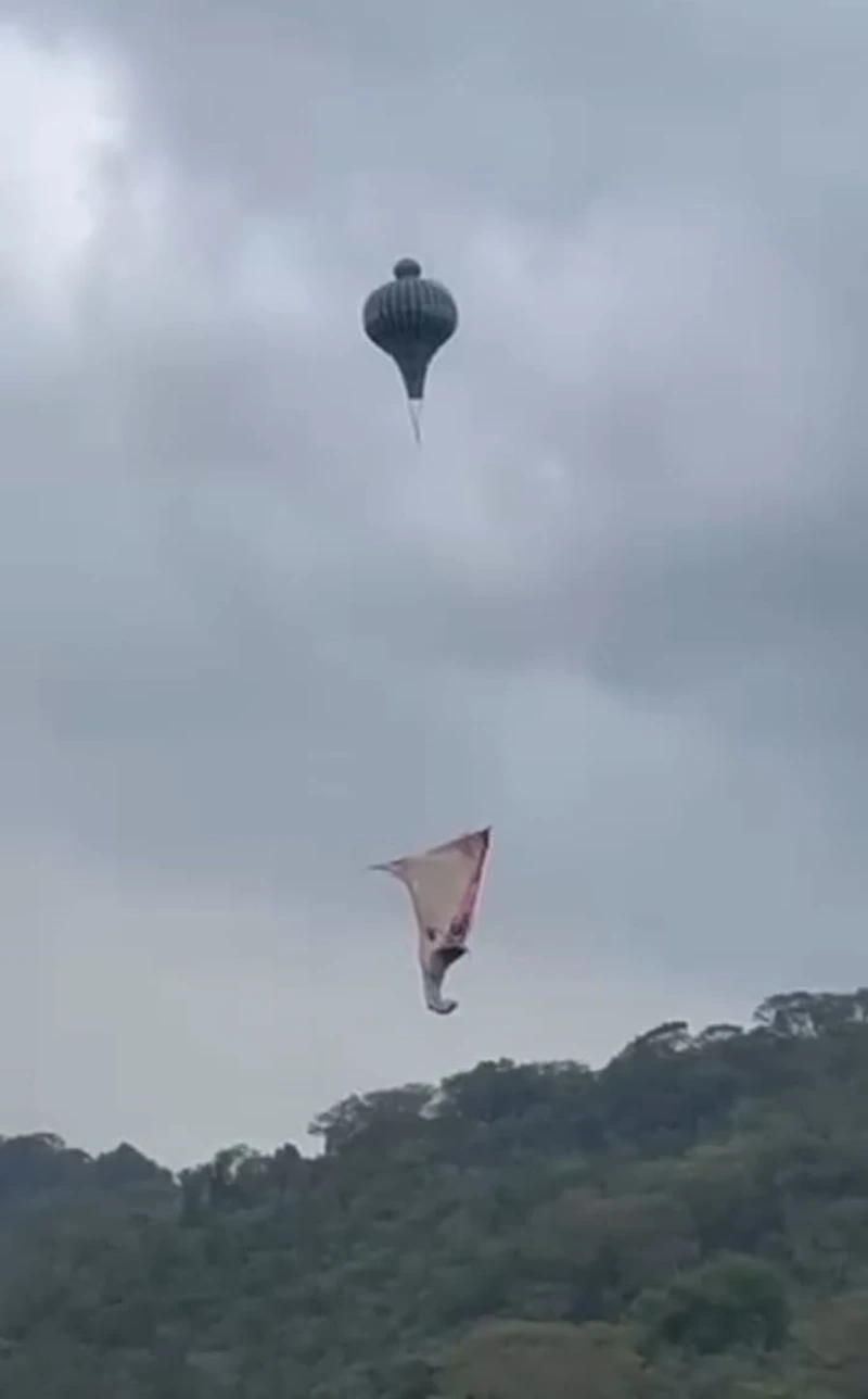 Imagem Principal